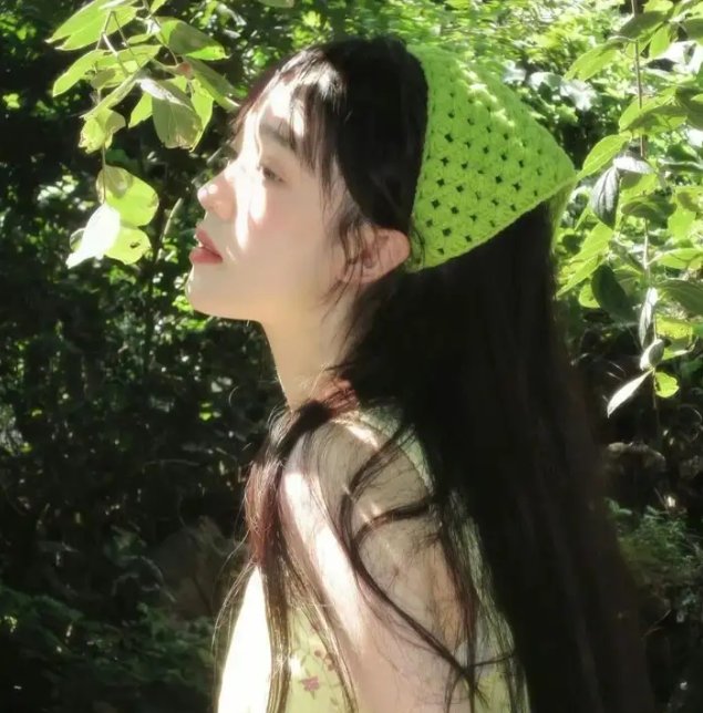 新女婿时代
