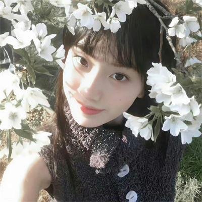 藩篱